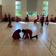 y5science01