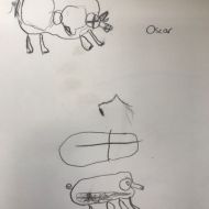 art11