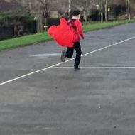 forces01