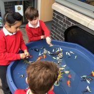 Geographers-YR-EAL-HA-Exploring-Natural-World-Making-observations