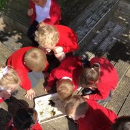 Geographers-YR-MA-Exploring-similarities-and-differences-in-environment-Pond-Dipping