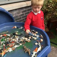 Geographers-YR-SEND-Exploring-Natural-World-Making-Observations