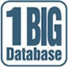 1 Big Database 1 Big Database